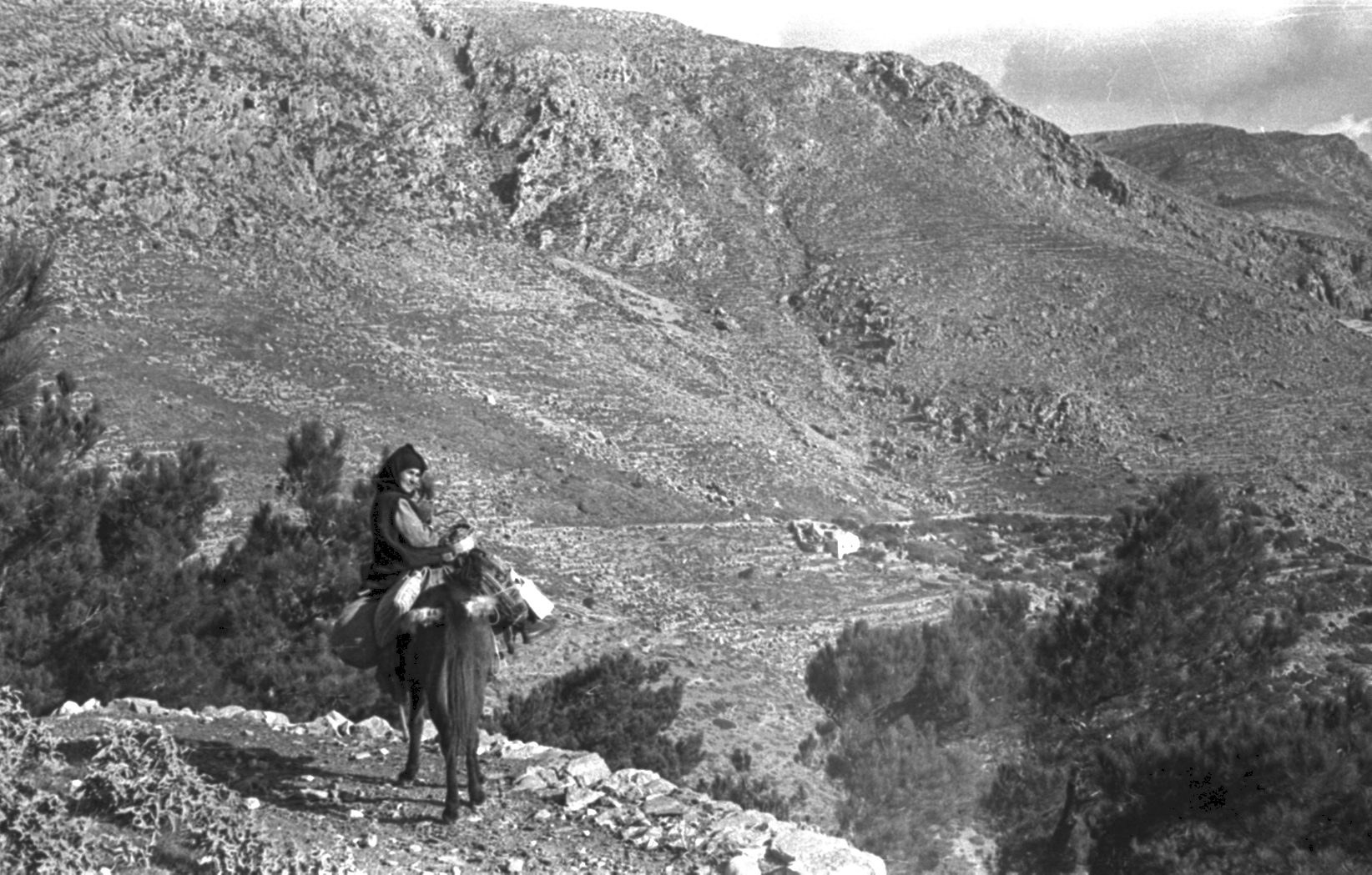 On a mule in the mountains of Karpathos